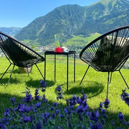 Berg Gastein 公寓 *